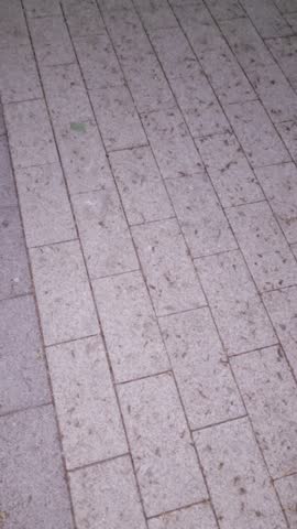 Gray stone tile walkway in a public city park
