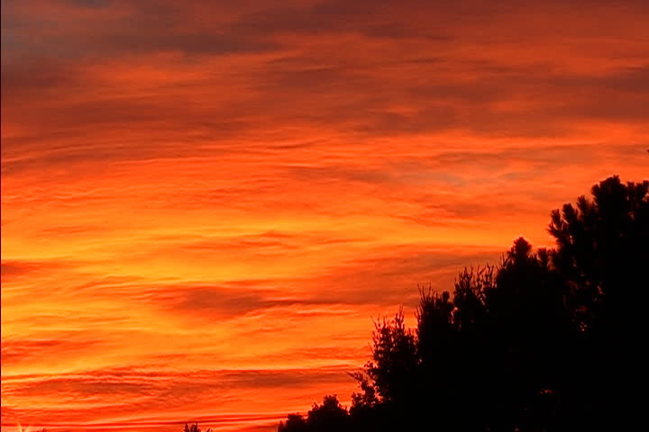 Vibrant red and orange sunset sky, camera zooms out to silhouettes of trees and bushes in foreground in Midland, Texas.