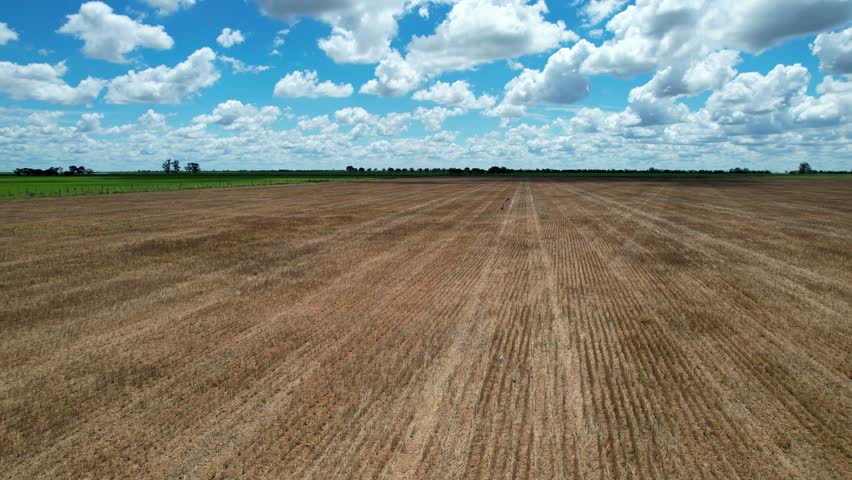 Drone movement from left to right over dry harvested land showing soybean stubble furrows and machinery tire tracks under a blue sky with white clouds in the fertile Argentine pampas