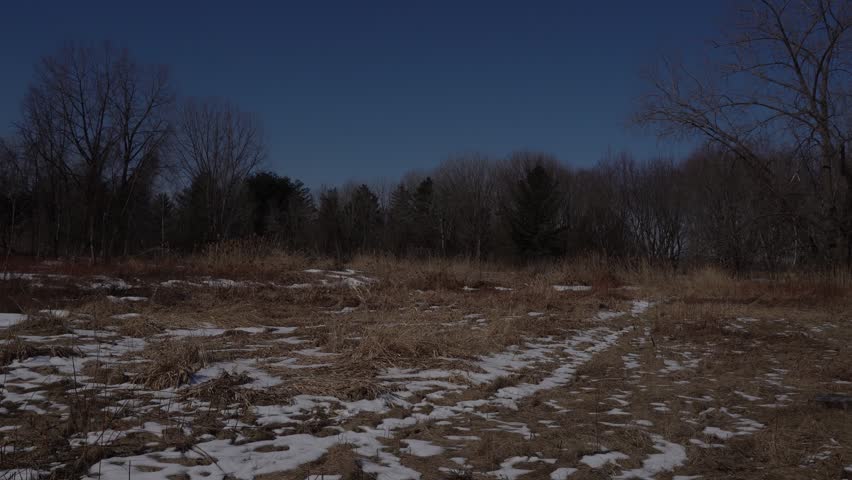Landscape view of a winter field with patches of melting snow, dry brown grass, and a background of leafless deciduous and evergreen trees under a clear blue sky