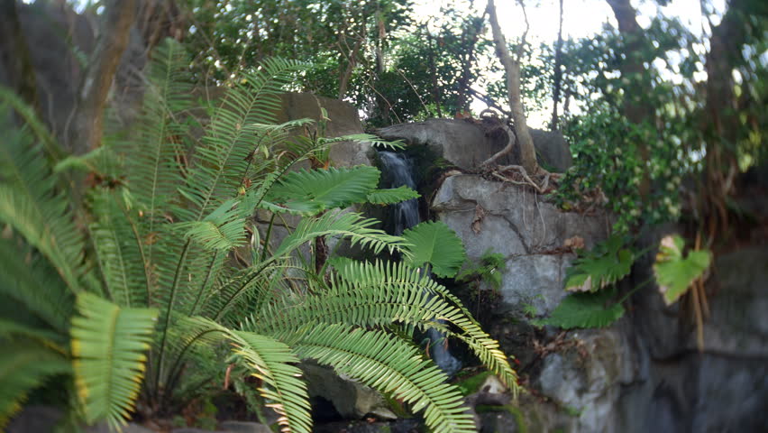 Waterfall flowing over rocks through dense tropical plants in a lush garden landscape. Nature scene featuring cascading water surrounded by ferns and jungle foliage