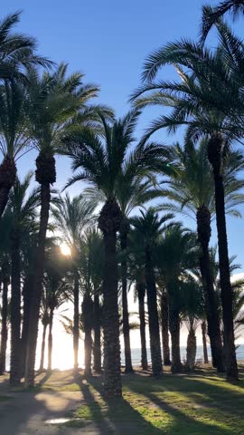 A golden sunrise illuminates the beach, creating a warm coastal morning scene in Torremolinos, Spain.