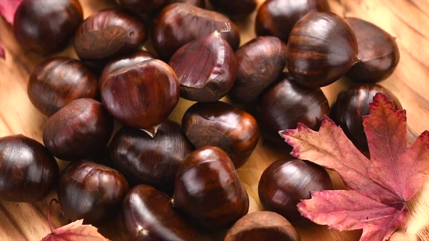 Chestnut, Fresh sweet chestnuts background, top view. Thanksgiving day. Edible chestnuts (Castanea sativa) pile over wood background, from above. 