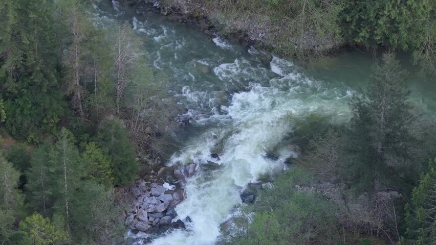 Powerful River Rapids Rushing Through a Green Forest in British Columbia, Canada