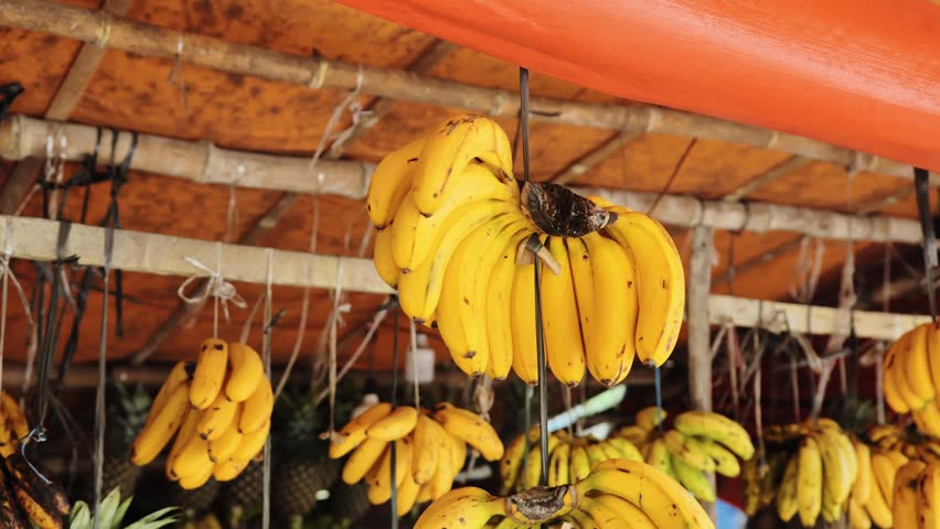 Ripe bananas, pineapple hanging in market stall in Puerto Princesa, Philippines