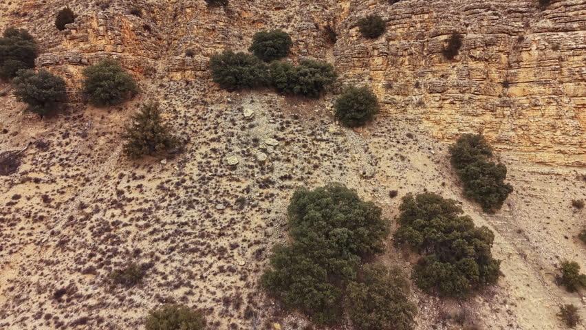 A rocky area with small bushes and shrubs growing on the terrain. The ground is dry and dusty, with steep cliffs visible in the background.