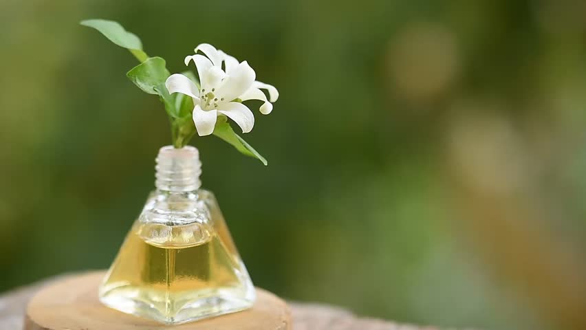 Andaman satinwood or Murraya paniculata branch flowers
 and perfume bottle on natural backgroud.