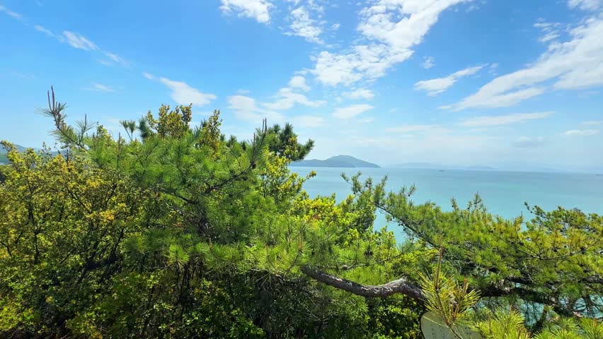 Panoramic Coastal Landscape with Blue Sea and Lush Greenery
