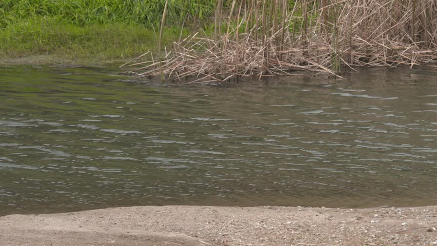 A Flowing River Stream in Nature