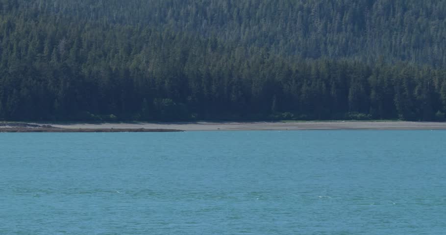 Sailing on Gastineau Channel in a sunny day leaving Juneau, Alaska.