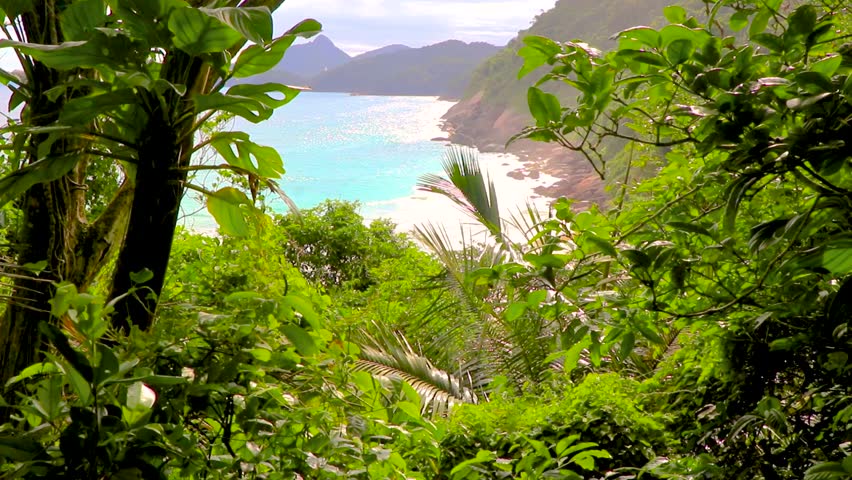 Amazing natural view at Praia de Lopes Mendes beach on the big tropical island Ilha Grande in Angra dos Reis Rio de Janeiro Brazil.