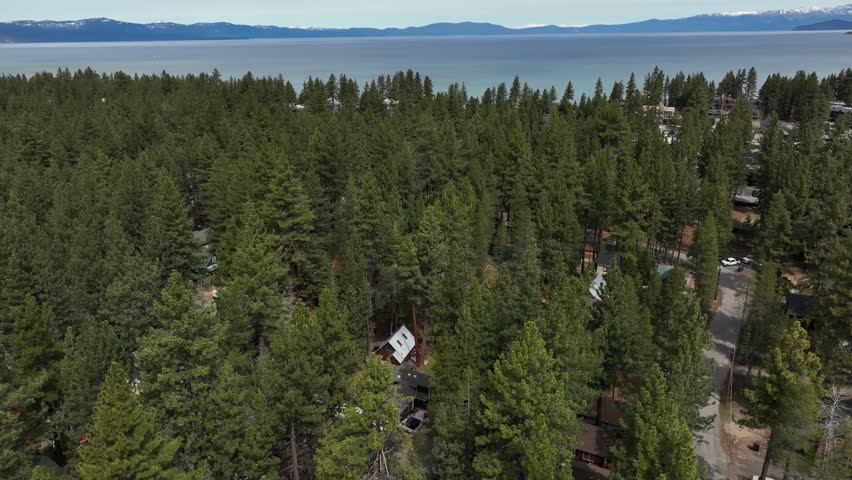 Forest homes in South Lake Tahoe, California, USA, with tall pine trees, cabins, roofs and quiet residential streets near clear blue lake and mountain landscape setting. Aerial drone view. Top down.
