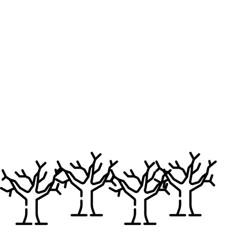 Bird, sun and tree illustration
