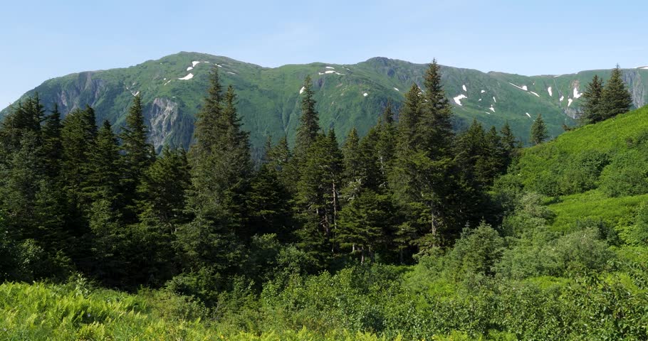 Mount Juneau viewed from Mount Roberts in a sunny summer day. Juneau, Alaska.