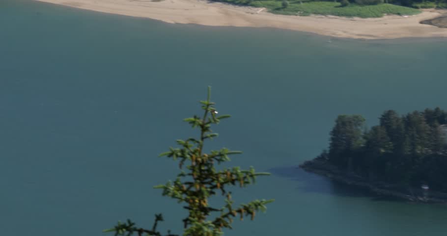Bald eagle soaring above Gastineau Channel, Juneau, Alaska.