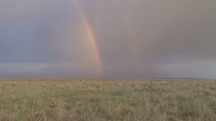   a streight line rainbow in the bush 
