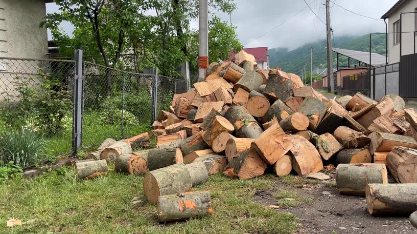 young man carrying delivered firewood into house yard