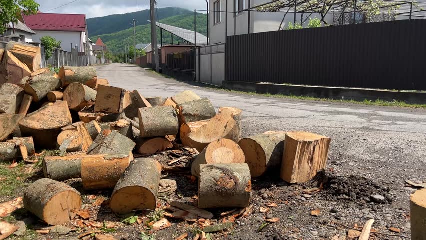 fuel delivery: young man carrying firewood to storage