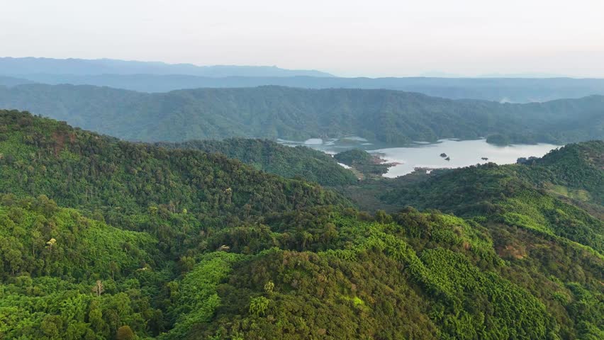 The hills and dense forests seen from above.