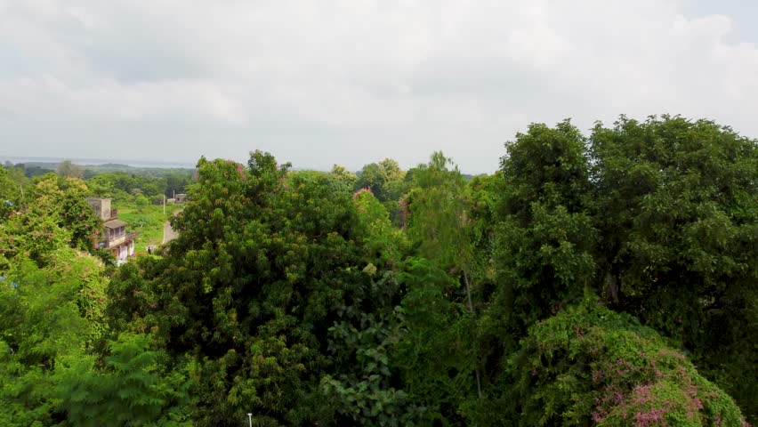 Rudra Village, green fields, trees, cloudy sky, serene landscape.