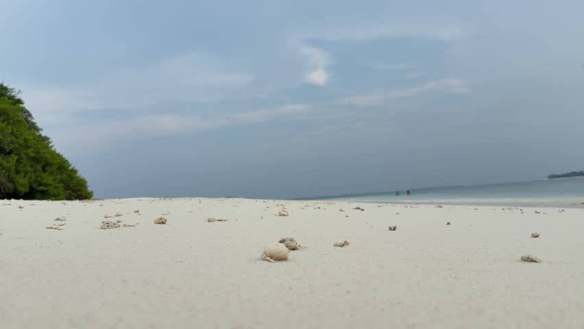 Beach landscape with white sand and sea on Maldives island. Concept of travel and tropical vacation.