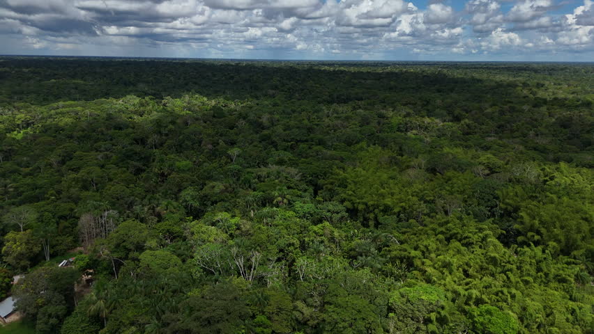 Clouds cast shadows over the expansive Amazon rainforest, revealing a rich tapestry of green foliage. Ideal for environmental documentaries or educational content.