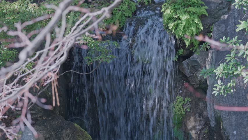 Camera tilts down to reveal a small waterfall flowing over moss-covered rocks into a still pool, bare red branches framing the edges in a tranquil Japanese garden setting.