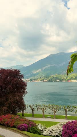 Beautiful lakeside garden at Lake Como featuring a red tree and blooming flowers with a boat passing by the tall green mountains in Italy.