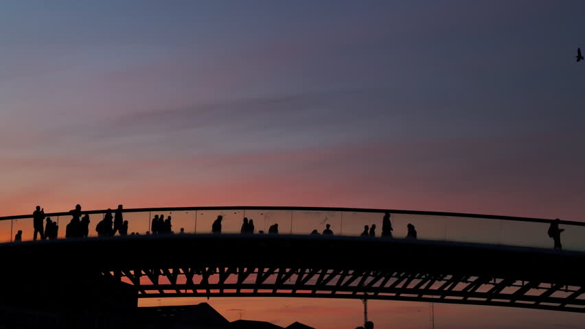 Calm cityscape at twilight: silhouetted people on a modern bridge, pale gray sky, distant buildings, water reflections, and a bird in flight.