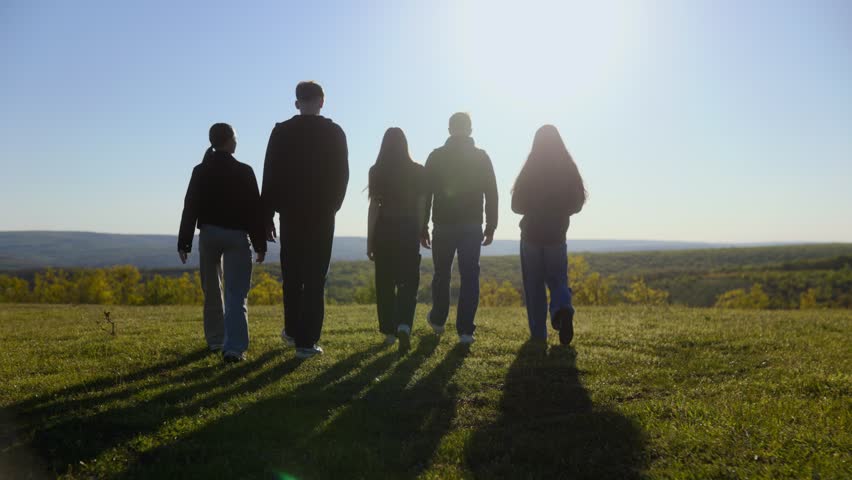 Rear view of a diverse group of five teenagers walking together through a green field at sunset, creating long shadows and a warm atmosphere of friendship.