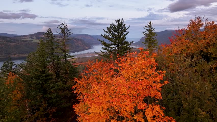 Fall color in the Columbia River Gorge with a vertical pan.	
