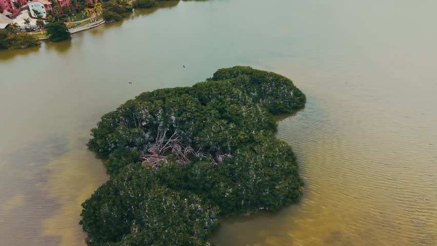 Aerial Drone Flight Over Mangrove Islands in Nichupte Lagoon Cancun Mexico Tropical Wetlands