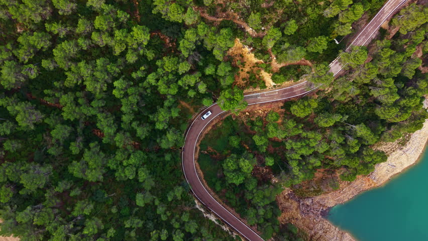 A winding road cuts through dense green trees leading to a body of blue water. A car drives along the road in a natural area on a clear day.