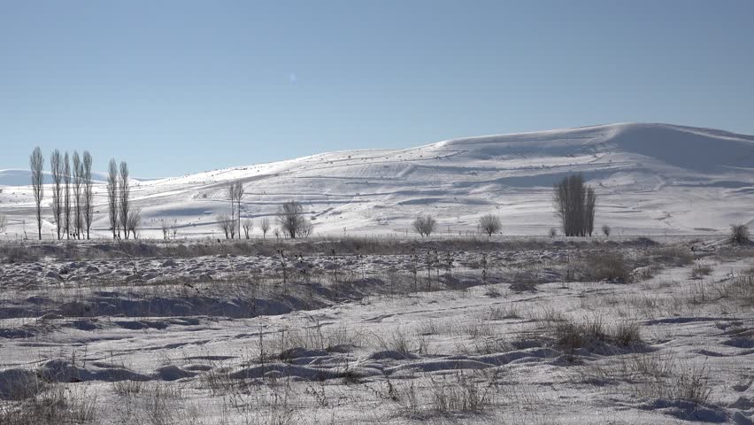 Winter landscape of Eastern Anatolia in Turkey shows snowy plains trees and distant hills. Layered highlands create broad scenery, outdoor travel appeal, natural depth, open atmosphere. Eastern Anatolia is a high plateau region of Turkey with long winters, snowy plains, leafless trees, distant mountains, rural settlements, and continental climate character.