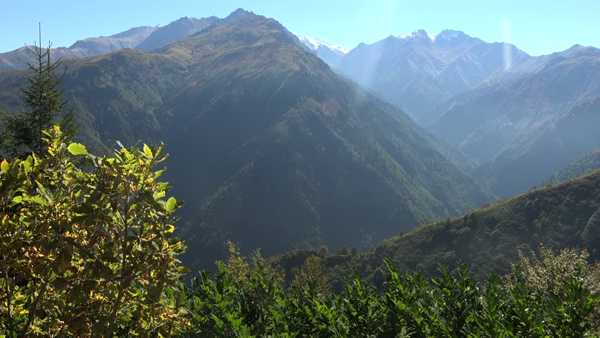 Pan view of Carpathian mountain valleys shows forested slopes and layered ridges in summer light. recede through forest cover, deep european highlands stock search appeal, clean composition. The Carpathian Mountains arc through Central and Eastern Europe, with forested slopes, deep valleys, layered ridges, summer light, and broad wilderness habitat.