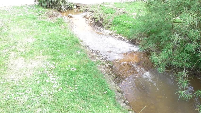 small muddy river in a park
