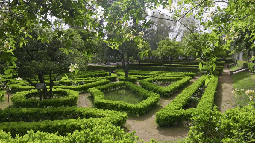 Spring garden grows in Parque de Maria Luisa, Seville, Spain. Geometric green hedges form labyrinth in Seville, Spain. Sunlight illuminates plants in Parque de Maria Luisa, Seville, Spain