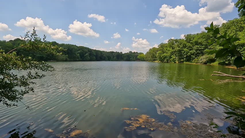 Slow Motion Clouds Reflecting on Calm Weldon Springs State Park Lake. A wide, slow-motion view of the spring-fed lake at Weldon Springs State Park. Dramatic summer clouds reflect on the tranquil water while small insects fly over the swampy shoreline in the foreground.