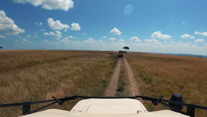 A point-of-view shot from a safari vehicle exploring Masai Mara National Reserve.