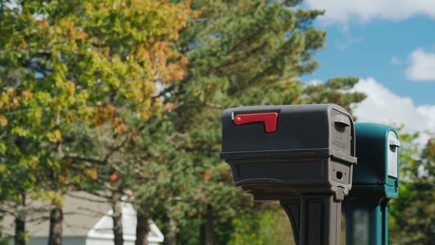 Mature blonde woman walking to curbside mailbox, opening front door, retrieving pile of envelopes, checking letters, and walking away. Residential neighborhood setting with green trees and blue sky.