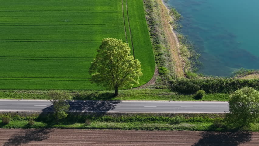 An aerial drone view of a solitary tree situated between a lush green meadow and a road near a lake.