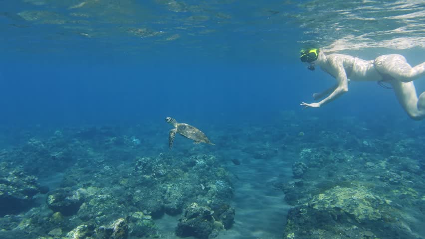 Woman snorkeling underwater with a sea turtle