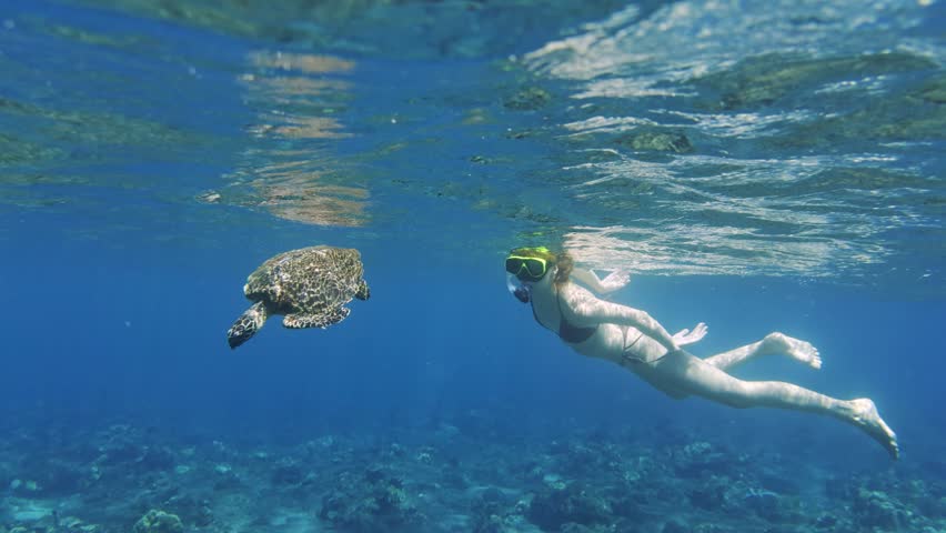 Snorkeling woman swimming with a turtle underwater