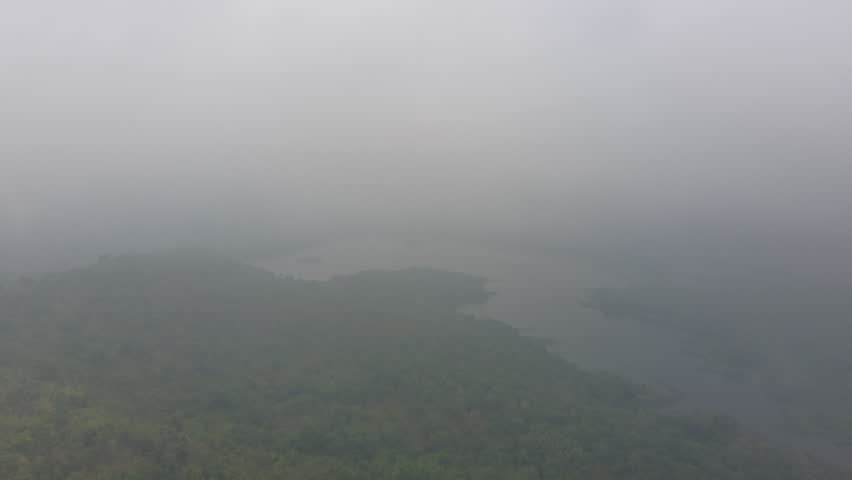Aerial view of forest area and dam