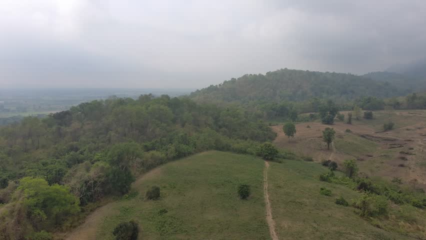 Aerial view of agricultural area and forest