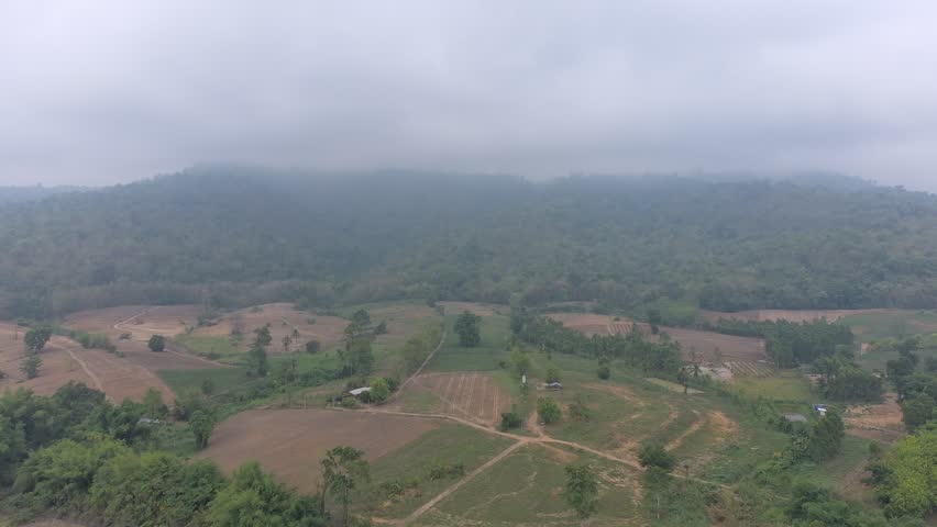 Aerial view of agricultural area and forest