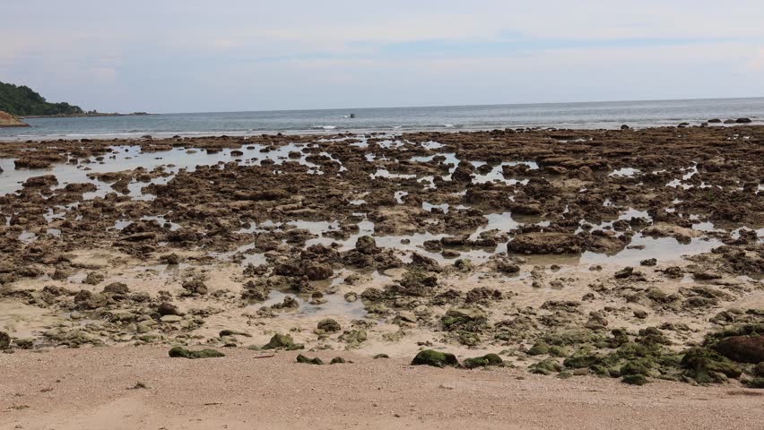 Rocky coastal landscape exposed at low tide. Irregular rock formations stretch toward the calm, blue sea under an overcast sky.