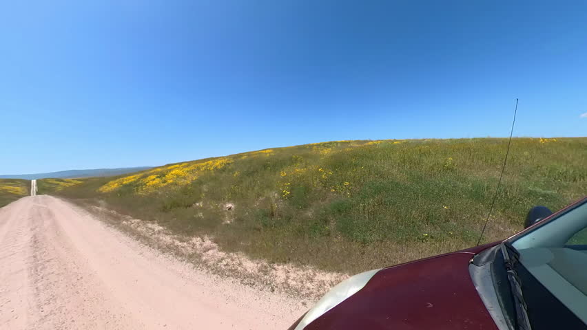 Carrizo Plain National Monument Super Bloom Off Road Driving Plate Front Right View 03 California USA