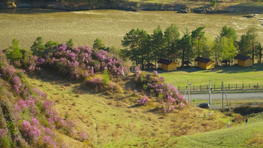 Spring Hillside With Pink Blossom Cabins, Sunlit Pine Grove, Wooden Fence, Rural Road, Couple Of Hikers Walking Along Grassy Path Beside Riverbank, Panoramic Countryside View Conveying Calm