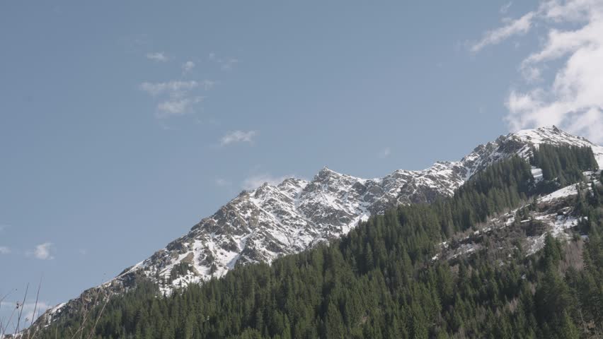Majestic mountain landscape with snowy peaks, lush green forest, and a clear blue sky